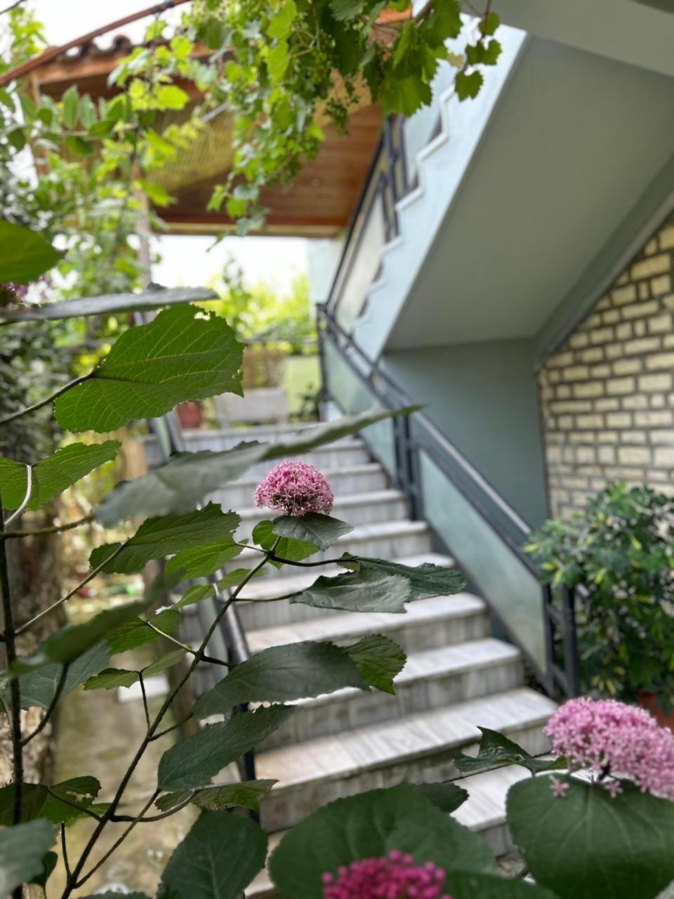 Guesthouse Katerina Berat Eksteriør billede