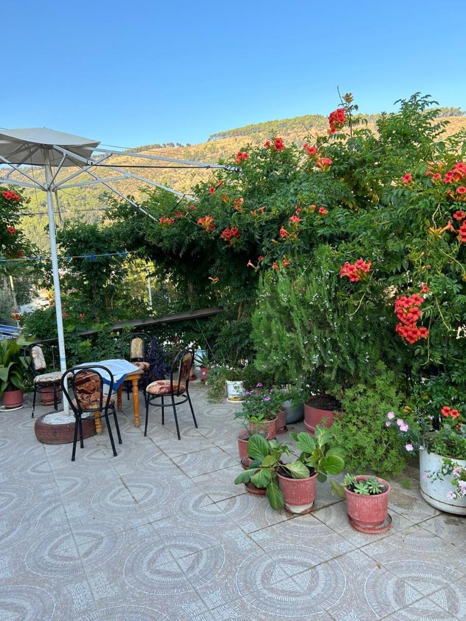 Guesthouse Katerina Berat Eksteriør billede