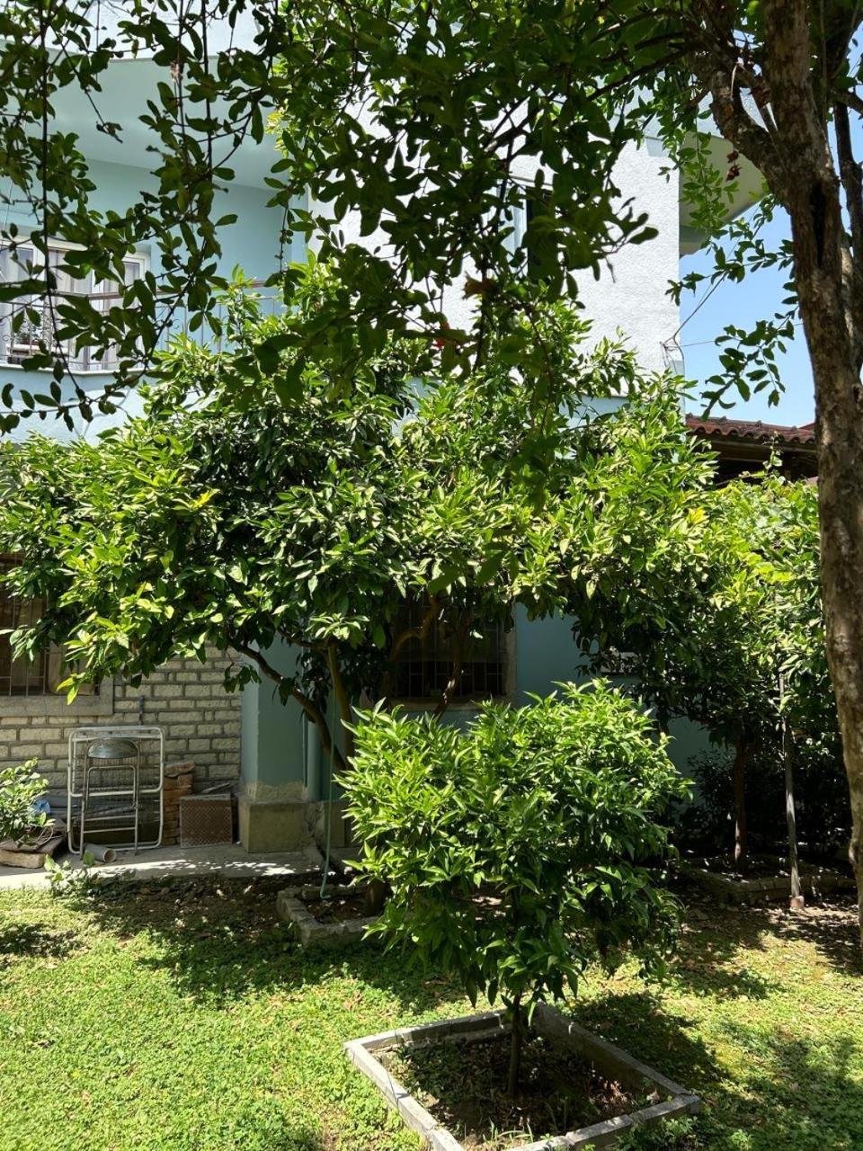 Guesthouse Katerina Berat Eksteriør billede